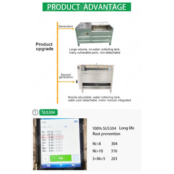 HDF1000 Output 1000kg/H Industrial Ginger Skin Peeling Machine