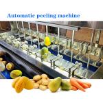 Mitsubishi PLC Apple Automatic Peeling Machine For Fruits And Vegetables