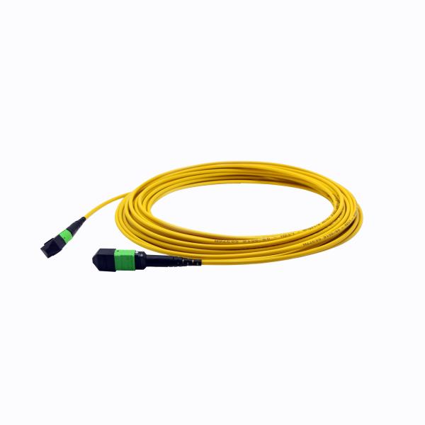 12CORES MPO MTP Patch Cord 3.0MM
