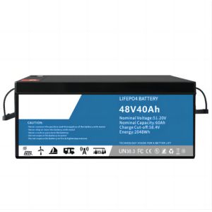 IP54 Enviromental Friendly High Capacity SLA Replacement LifeP04 NIMH Lithium