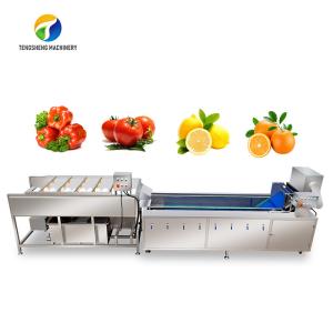 Buy cheap Multifunction Fruit And Vegetable Processing Line Parallel Brush Machine product