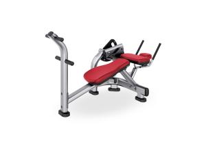 Commercial Gym Rack And Bench , Body Building Abdominal Crunch Machines