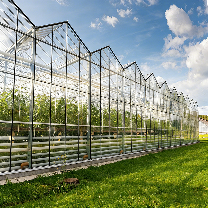Small Steel Frames Prefab Farm Buildings Lightweight Rust Resistant