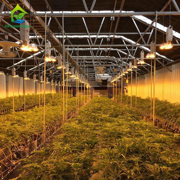 Multispan 28m-50m Length Light Deprivation Greenhouse With Blackout System