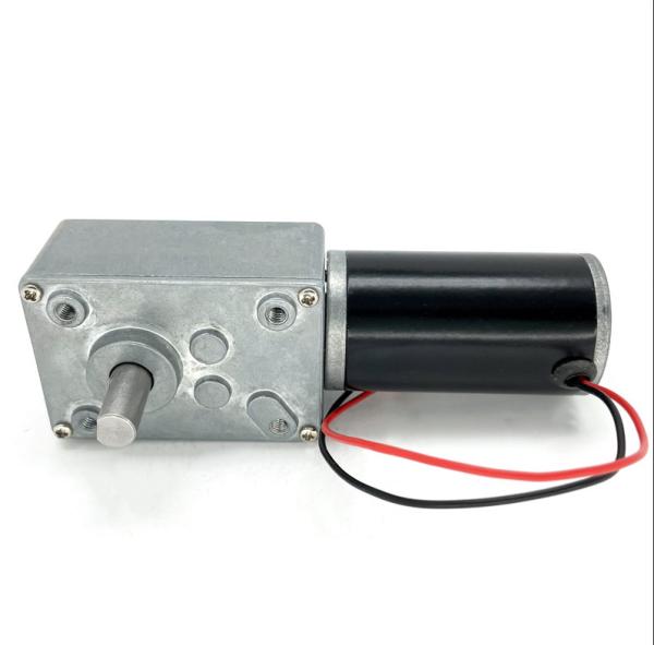 Quality Faradyi Most Popular 12V 24V 5840 Worm Gear Self Locking Micro Dc Gear Motor for sale