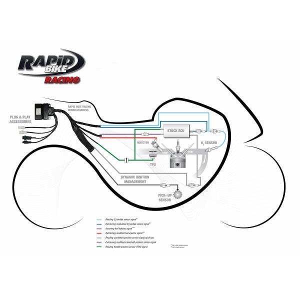 Dimsport rapid bike racing module Increasing Torque Add On Module