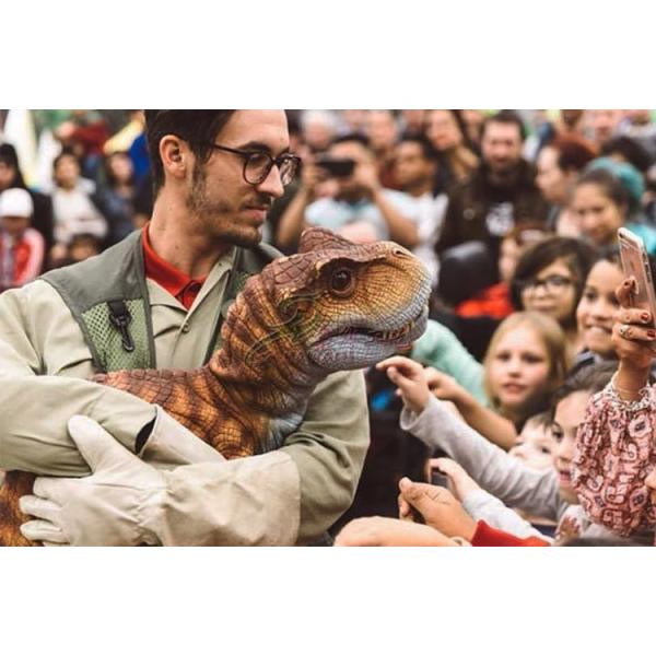 Attractive Realistic Dinosaur Puppet , Realistic Baby Dinosaur Puppet