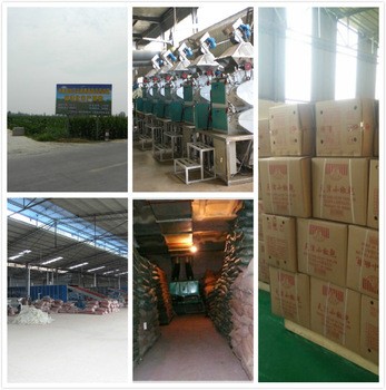1-3cm Chili Ring Without And With Seeds BRC Halal Certificate High Pungency