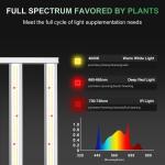 4x4 5x5 Adjustable Spectrum LED Grow Lights 1000W 800W Coverage