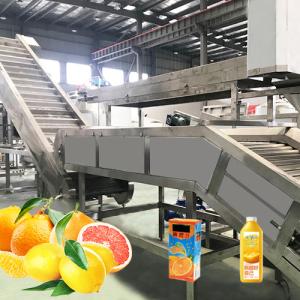 Professional Tangerine Citrus Processing Equipment 5T/H  ISO Certificate