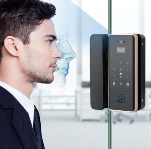 Office Tuya App Door Lock Wireless Biometric High Security Password Glass Door Lock