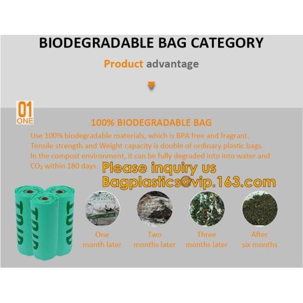 Wholesale biodegradable compost mailer black mailing bags bag from china Factory,Custom Compostable Biodegradable Mailin