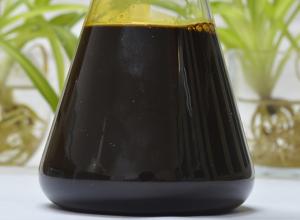 China Supercritical CO2 Extraction Cinnamon Oleoresin on sale