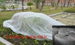 Buy cheap 100% Polypropylene Agriculture Non Woven Fabric Weed Control Ground Cover Net Mesh Cloth product