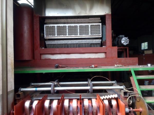 Quality Recyclable Egg Carton Making Machine 30kw Large Output  For Paper Box for sale