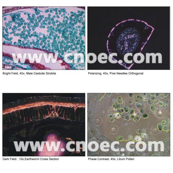 400X 1000X Compound Optical Microscope Kohler Illumination Microscopes A12.0907-A