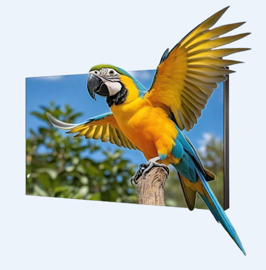 High Refresh Rate Polarized 3D Screen Interactive Immersive Education Monitor