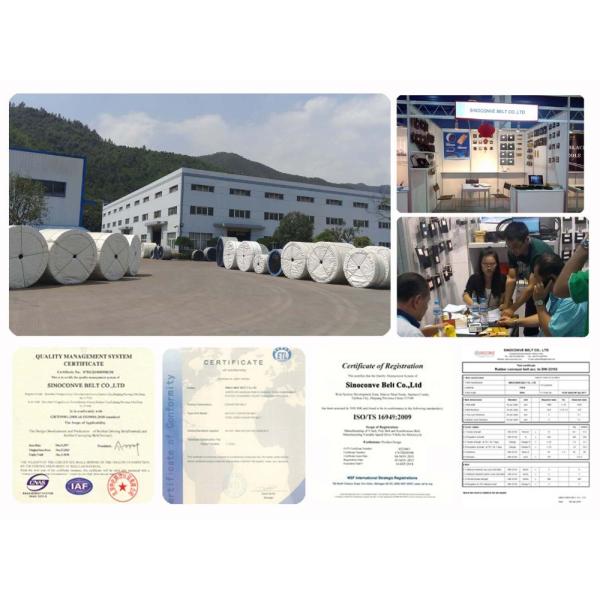 Rubber Crush Machine Endless Nylon Conveyor Belt with Heat Resistant Material