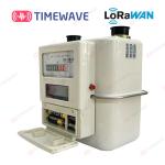 Intelligent IoT LoRaWAN Gas Meter Real Time Monitoring Gas Consumption Meter