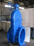 Sluice Worm Gear Gate Valve Ductile Iron Flange End Rubber Seat Valve