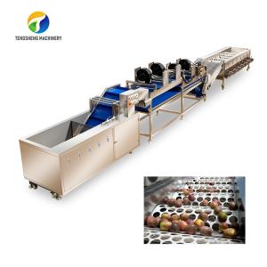 Buy cheap Drying Sorting Circulating Surfing Fruit And Vegetable Processing Line Apple Tengsheng product
