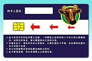 SLE 66C168PE Security Contact CPU Chip Cards