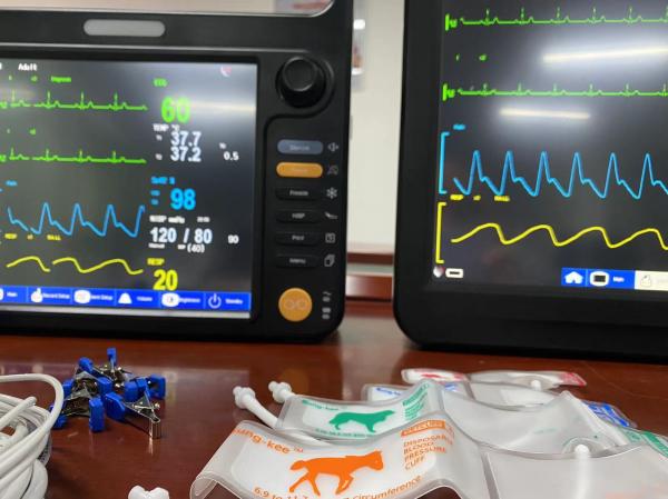 Quality 12.1" Portable Vital Sign Machine Multi Language For Veterinary Animal Patient for sale