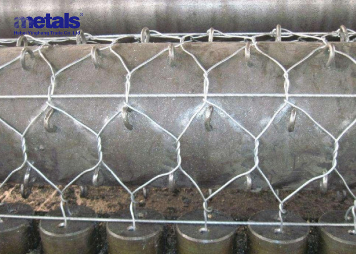 PVC Coated Hexagonal Netting Wire Mesh BWG18-BWG22