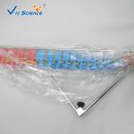 Didactic Vertebral Column PVC Anatomical Skeleton Model