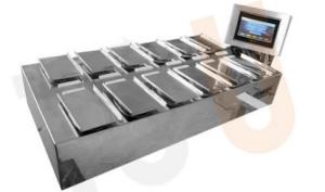 MCU Control 10WPM Fruit And Vegetable Packaging Machine Combination Scale