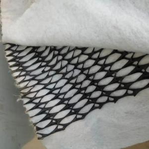 China Rainwater Drainage 3d Plastic Geocomposite Drain Net for Industrial Tunnels or Dams on sale