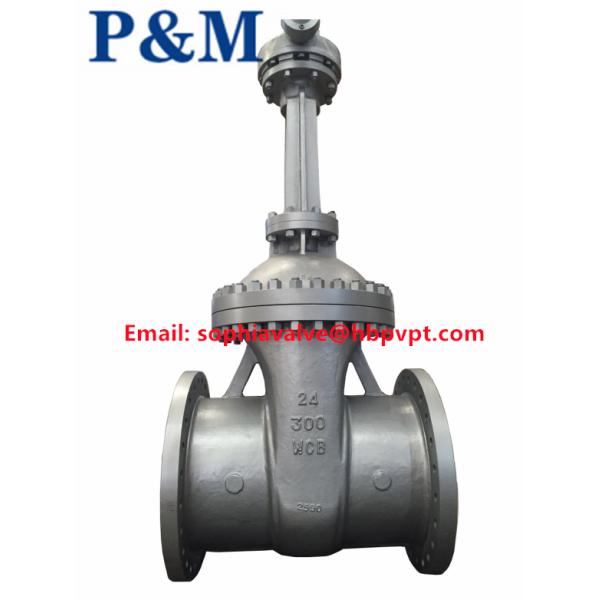 300LB WCB cast steel gate valve