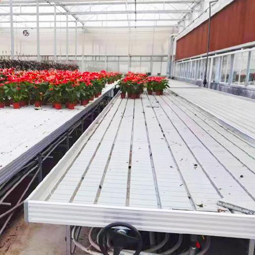 Quality Practical Customizable Greenhouse Rolling Tables Movable Design Pc Sheet Cover for sale