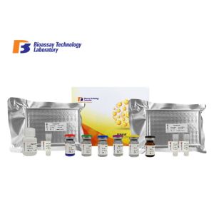 Buy cheap ADAMTS19 Sandwich ELISA Kit A Disintegrin And Metalloproteinase With Thrombospondin Motifs 19 ELISA Kit product