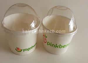 White Disposable Ice Cream Cups With Lids And Spoon For Frozen Yogurt