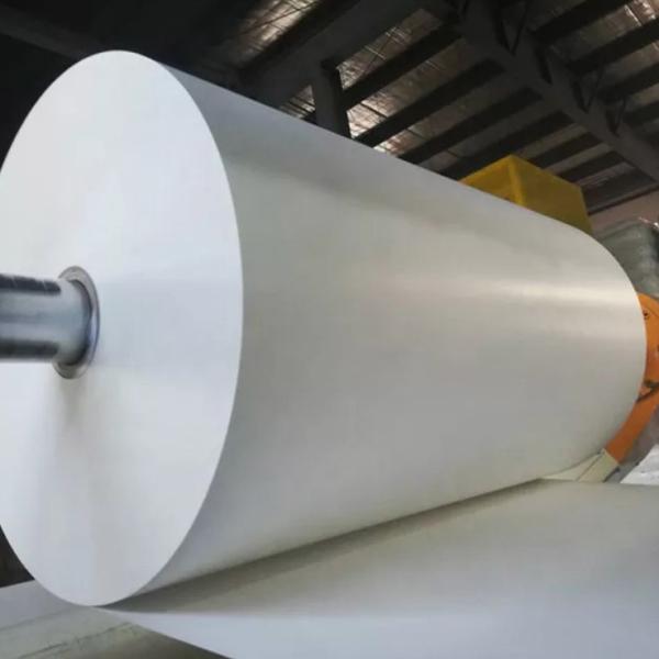 Quality Flexographic Print PE Coated Cup Paper Cup Raw Material for sale