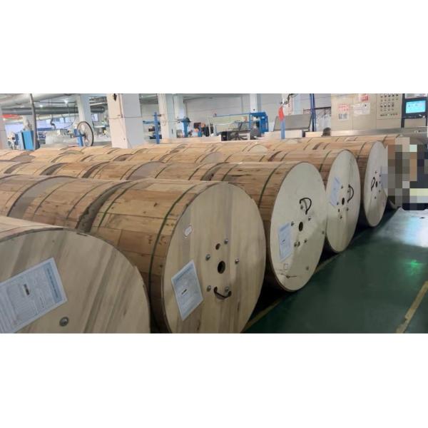 Fire Resistant Armored Fiber Optic Cable MGTSV MGXTSV Mining Grade Flame Retardant Communication Wire