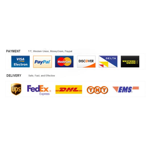 Find the Best Deals on Second Hand Buses in and Affordable Prices