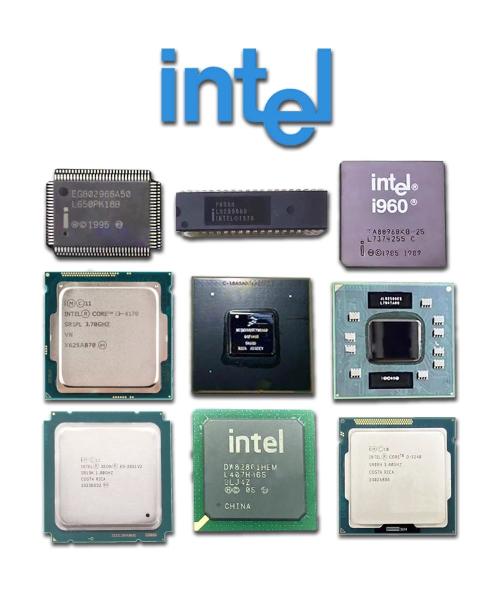 98DX243-A2-BCW1C000 Integrated Circuits (ICs) Embedded FPGAs (Field Programmable