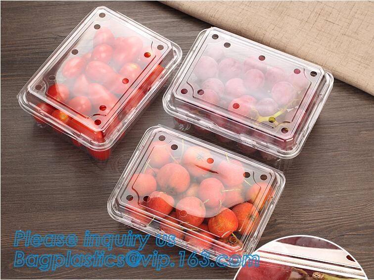 Blister large clear plastic fruit container with lid for fruit packaging,blister fruit box /container/ fruit Tray/ Clear