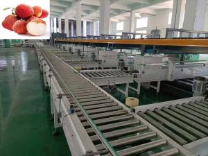 Buy cheap Precise Fruit Grading Machine Intelligent 3 Channel For Litchi product