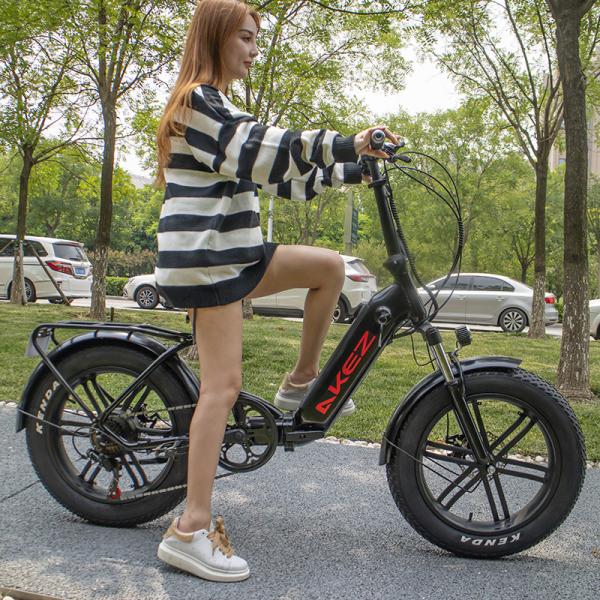 Quality High Speed Motor Magnesium Alloy Soft Tail Frame Lithium Battery Electric Bicycle for sale