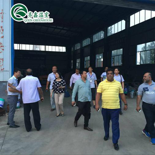 Film Cover Double Layer Hydroponics Grow Kit System for Greenhouse