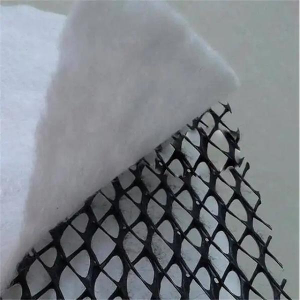 High Drainage HDPE Mesh Drainage Geonet 3D Composite Drainage Mat for Railways Highways