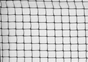 PP Raw Material Garden Trellis Net , UV Treated Garden Mesh For Climbing Plants