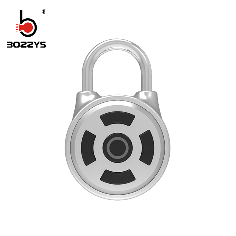 OEM Acceptable Led Light Display Keyless Smart Bluetooth Pad Lock