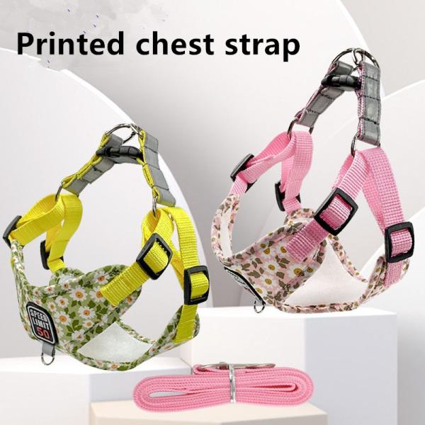 Dog harness and lead set