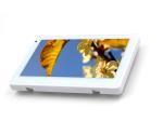 Smart Home GPIO Touch POE Tablet With SIP Intercom Android OS Glass Wall Mount