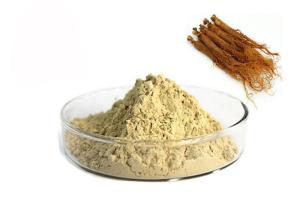 Buy cheap 10% Ginsenosides Red Ginseng Extract product