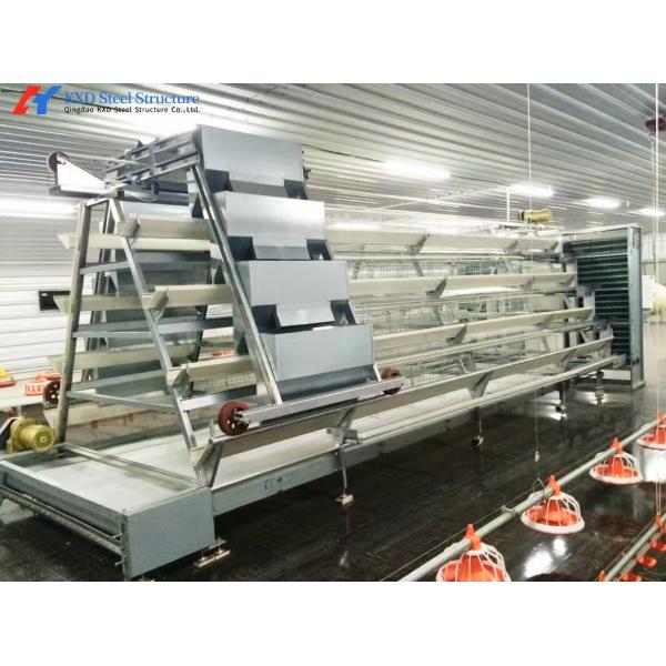 Easy Operate Automatic Poultry Farm Equipment A Type Laying Hen Cages